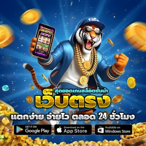 NF555 เว็บตรง